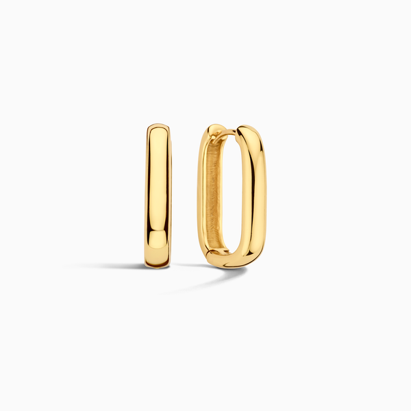 Anillos Icónicos